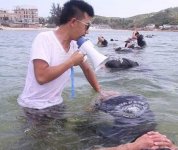保鏢和保安有什么區(qū)別？
